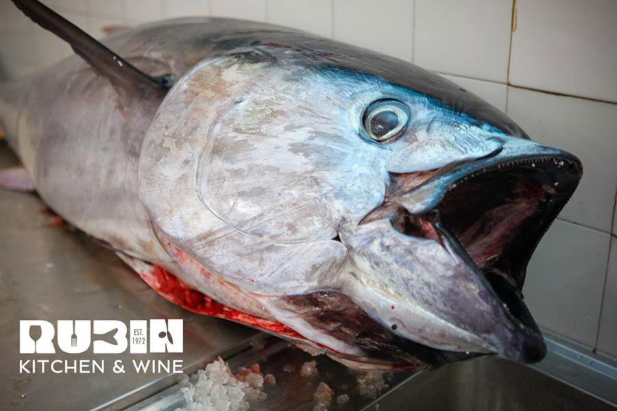 Rubin Kitchen&Wine Rooms Crikvenica Εξωτερικό φωτογραφία